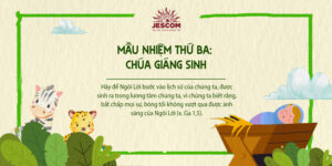 [Chuỗi Mân Côi Laudato Sí ] – Mầu Nhiệm Vui - Thứ Ba: Chúa Giáng Sinh