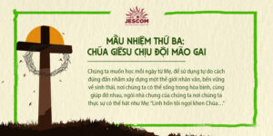 [Chuỗi Mân Côi Laudato Sí ] – Mầu Nhiệm Thương – Thứ Ba: Chúa Giêsu Chịu Đội Mão Gai