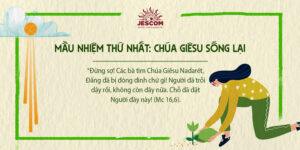 [Chuỗi Mân Côi Laudato Sí ] – Mầu Nhiệm Mừng - Thứ Nhất: Chúa Giêsu Sống Lại