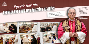 [Suy tư cùng ĐGH] – Hợp tác liên tôn: chọn lựa khó khăn hay hành trình tự nhiên?