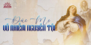 08/12: Lễ Ðức Mẹ Vô Nhiễm Nguyên Tội