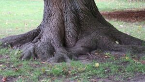 Tại sao cần trau dồi và phát triển đời sống tâm linh, đức tin?