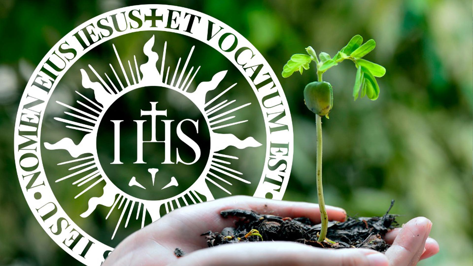 CHĂM SÓC NGÔI NHÀ CHUNG