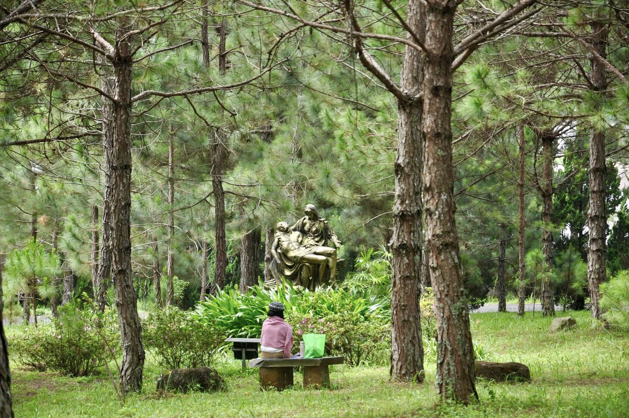 Linh Thao Background